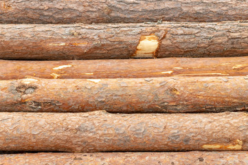 background image of a felled pine tree trunks close up