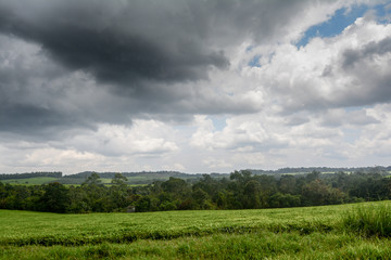 Fototapeta premium Landscape in Queens Elizabeth