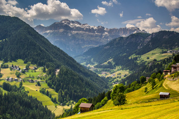 Fototapeta premium landscape forest in trentino with dolomiti mountain