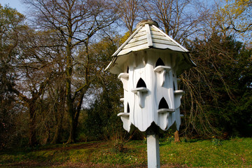 White dovecote birdbox