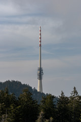 Obraz premium Höchster Punkt des Schwarzwalds auf der Hornisgrinde
