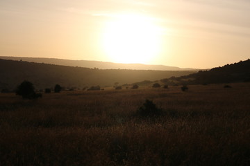 Landscape Masai Mara Africa