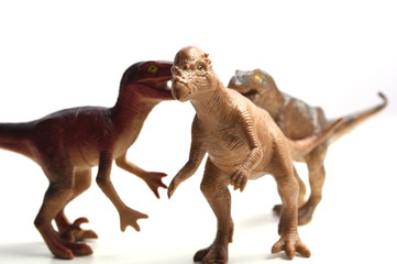 Isolated Dinosaurs model on white background