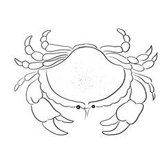 Crab line vector illustration