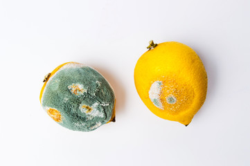Moldy lemon fruit on white background
