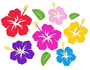 Papier Peint photo Plantes tropicales Hibiscus icon set