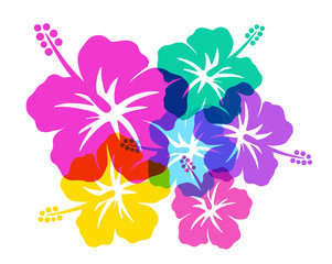 Hibiscus southern country image © DragonTiger8