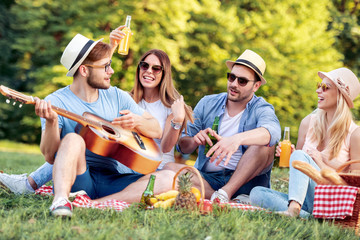 Group of friends on picnic with guitar