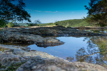 rockpools above the trees
