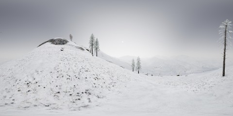 vr 360 camera above the snow rocky mountains ridges in a cold polar region