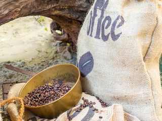 Freshly roasted coffee beans in a brass bowl