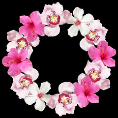 Beautiful flower circle of hibiscus and orchids. Isolated 