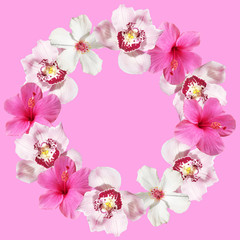 Beautiful flower circle of hibiscus and orchids. Isolated 