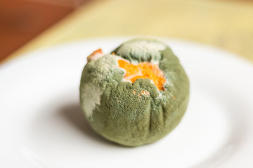 Rotten orange on a white plate.