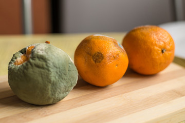 Rotten oranges on wooden background.