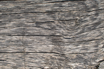 gray wood texture for background