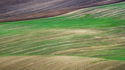 Autumn fields in South Moravia