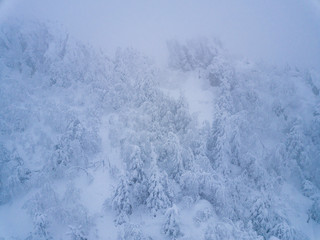 Aerial shot of the winter forest and mountains in the mist