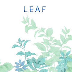 Elegant summer watercolor leaves