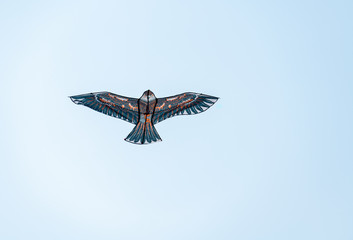 A kite flying in the sky
