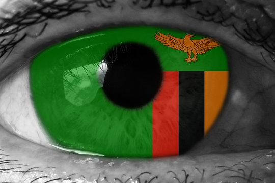 Zambia Flag In The Eye