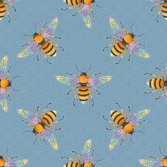 Bee Honeybee pattern Insect hand drawn colorful seamless pattern