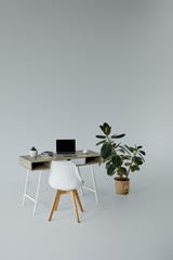 ficus in flowerpot, table with notebook and white chair on grey background