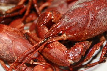 red boiled crayfish