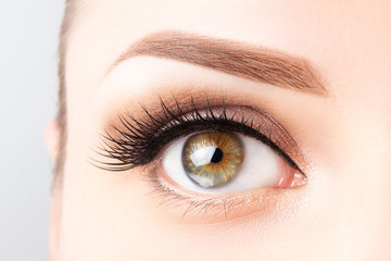 Female eye with long eyelashes, beautiful makeup and light brown eyebrow close-up. Eyelash...