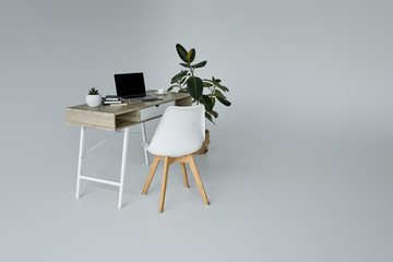 table with laptop, flowerpot, books, green ficus and white chair on grey background