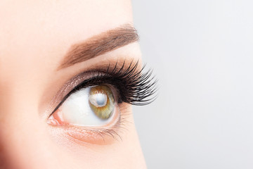 Female eye with long eyelashes, beautiful makeup and light brown eyebrow close-up. Eyelash...