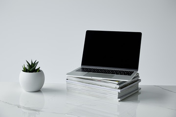Fototapeta premium laptop on stack of journals, and flowerpot isolated on grey