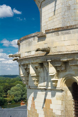 Chateau d'Amboise, France - The Castle in the Indre-et-Loire d&eacute;partement of the Loire Valley