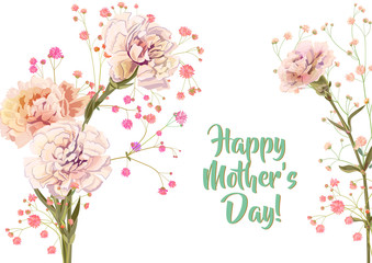 Horizontal Mother's Day, Victory Day card with carnation: white, red, pink, flowers, twig gypsophile, white background. Templates for design, vintage botanical illustration in watercolor style, vector
