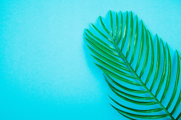 Summer background with palm leaves