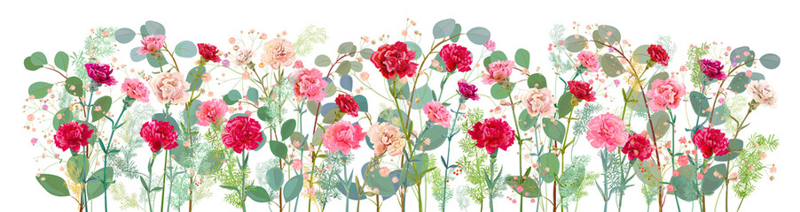 Panoramic view of carnation, pink, white, red flowers, leaves eucalyptus, twigs gypsophile, asparagus, white background, illustration in watercolor style for Mother's Day, horizontal pattern, vector