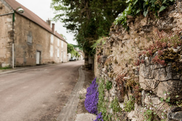 Fototapeta na wymiar Strassenmauer in Frankreich mit wildem Bewuchs.