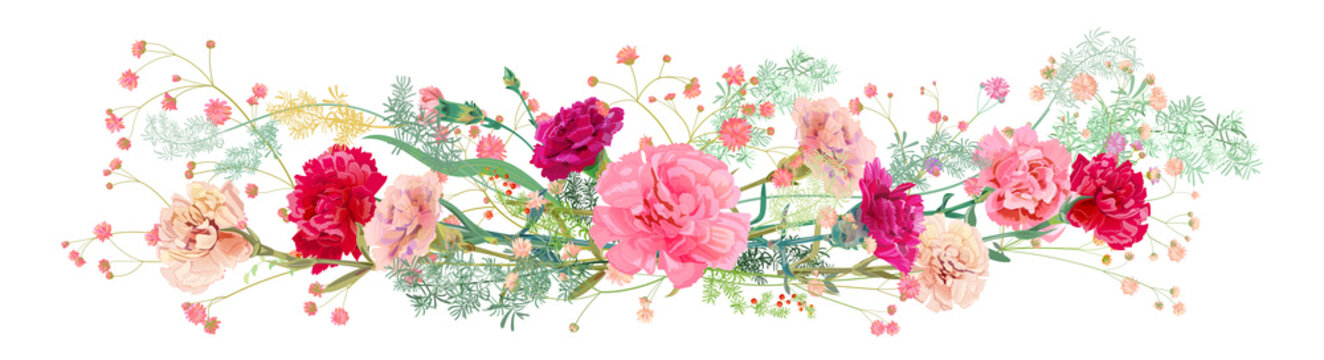 Panoramic view of carnation schabaud: pink, white, red flowers, twigs gypsophile, asparagus, white background, illustration in watercolor style for Mother's Day, horizontal pattern, vector