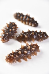 pine cone on white background