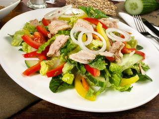 Colorful mixed Salad with white Tuna and Onions