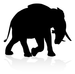 An elephant safari animal silhouette 