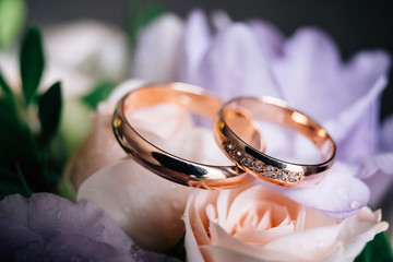 wedding rings - Powered by Adobe