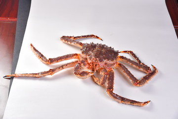 crab isolated on white background