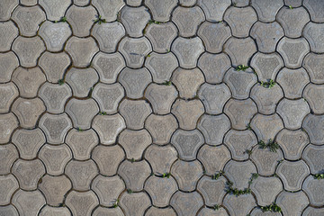 Gray paving stones covered with moss and grass. Pedestrian road, pavement or sidewalk