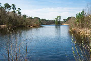 forest and fens in national park Oisterwijkse Bossen en Vennen in Oisterwijk, The Netherlands