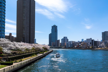 Obraz premium (東京都ｰ都市風景)ウォーターフロント新川沿いの風景１９