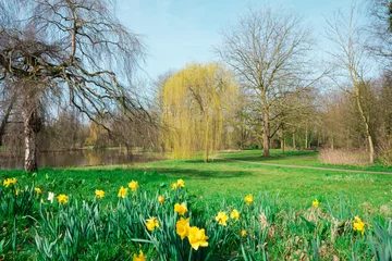 Foto op Plexiglas small river Voorste Stroom in park, Oisterwijk,  The Netherlands © Corinne