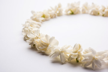 Jasminum sambac or Mogra Flower arranged in a  circular or rectangular  frame shape over white background, selective focus