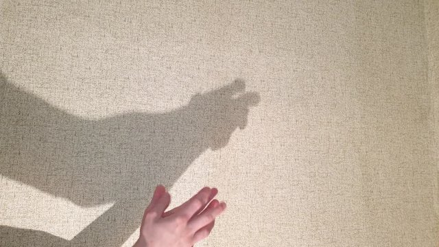 Shadow of shaking hands. Tremor hand shadow on the wall.