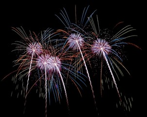 《大曲の花火》秋田県大仙市